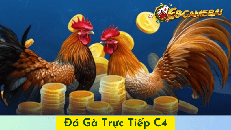 Cách Cập Nhật Kết Quả Đá Gà C4 Nhanh Chóng Tại 68gamebai