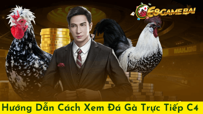 Đá Gà Trực Tiếp C4 Là Gì?